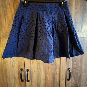 Banana Republic Dark Blue Eyelet A-Line Skirt Size 2